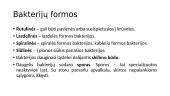 Organizmų biologinė įvairovė 16 puslapis