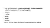 Organizmų biologinė įvairovė 5 puslapis