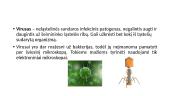 Organizmų biologinė įvairovė 6 puslapis