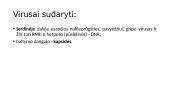 Organizmų biologinė įvairovė 7 puslapis