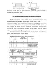 Trigeriai ir jų taikymas 13 puslapis