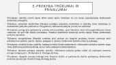 Elektroninė prekyba (skaidrės) 3 puslapis