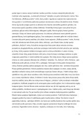 Trijų rekreacinių terminų bei Palangos botanikos parko rekreacinės aplinkos analizė 11 puslapis