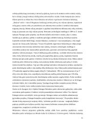 Trijų rekreacinių terminų bei Palangos botanikos parko rekreacinės aplinkos analizė 13 puslapis