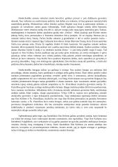 Ką reiškia būti šiuolaikiniu Don Kichotu? 2 puslapis