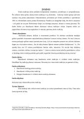 Anglosaksų ir romanų- germanų teisės tradicijų skirtumai 2 puslapis