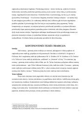 Anglosaksų ir romanų- germanų teisės tradicijų skirtumai 4 puslapis