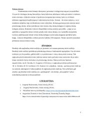 Anglosaksų ir romanų- germanų teisės tradicijų skirtumai 5 puslapis