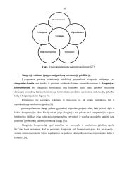 Slaugytojų, dirbančių su pagyvenusiais pacientais, požiūris į pacientą orientuotą slaugą 16 puslapis