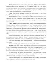 Triušių veislės ir veisimo būdai 6 puslapis