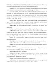 Triušių veislės ir veisimo būdai 9 puslapis