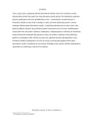 Trumpalaikio turto samprata ir klasifikacija 2 puslapis