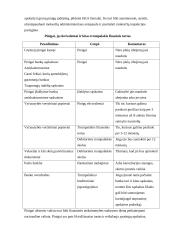 Trumpalaikio turto samprata ir klasifikacija 11 puslapis