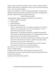 Trumpalaikio turto samprata ir klasifikacija 5 puslapis