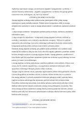 Trumpalaikio turto samprata ir klasifikacija 6 puslapis