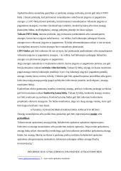 Trumpalaikio turto samprata ir klasifikacija 7 puslapis