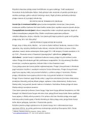 Trumpalaikio turto samprata ir klasifikacija 10 puslapis