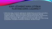 Lytiškai plintančios ligos (pristatymas) 2 puslapis