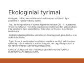 Epidemiologiniai tyrimai odontologijoje 12 puslapis