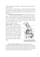 Sėjamosios savarankiškas darbas 11 puslapis