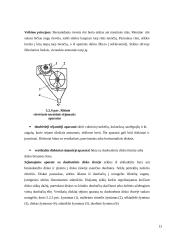 Sėjamosios savarankiškas darbas 12 puslapis