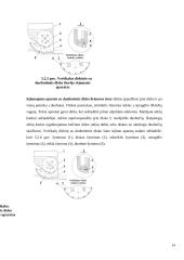 Sėjamosios savarankiškas darbas 13 puslapis