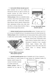 Sėjamosios savarankiškas darbas 14 puslapis