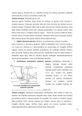Sėjamosios savarankiškas darbas 16 puslapis