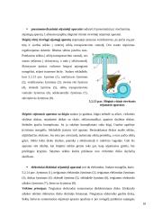 Sėjamosios savarankiškas darbas 17 puslapis