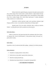 Sėjamosios savarankiškas darbas 2 puslapis