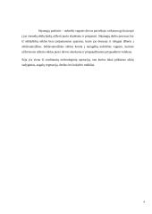 Sėjamosios savarankiškas darbas 3 puslapis