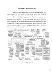 Sėjamosios savarankiškas darbas 8 puslapis