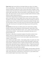 Turistinio žygio organizavimas (pasiruošimas turistiniam žygiui) 11 puslapis