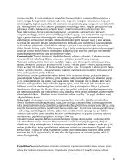 Turistinio žygio organizavimas (pasiruošimas turistiniam žygiui) 6 puslapis