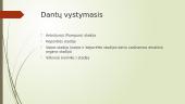 Dantų vystymasis 2 puslapis