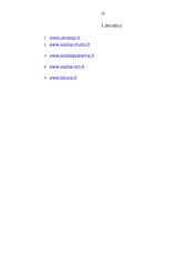 Turistinis maršrutas 19 puslapis