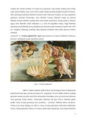 Tapytojas Sandro Botticelli 4 puslapis