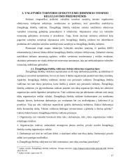 Valstybės tarnybos santykių teisinis reguliavimas 16 puslapis