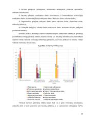 Valstybės tarnybos santykių teisinis reguliavimas 18 puslapis