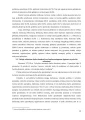 Valstybės tarnybos santykių teisinis reguliavimas 19 puslapis