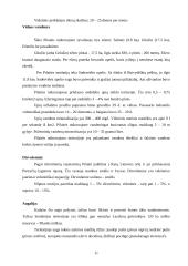 Turizmo ir rekreacijos perspektyva Pilaitės seniūnijoje 11 puslapis