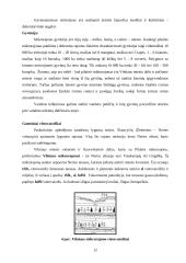 Turizmo ir rekreacijos perspektyva Pilaitės seniūnijoje 12 puslapis