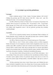 Turizmo ir rekreacijos perspektyva Pilaitės seniūnijoje 13 puslapis