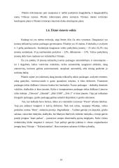 Turizmo ir rekreacijos perspektyva Pilaitės seniūnijoje 14 puslapis