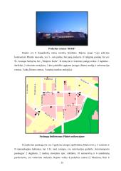 Turizmo ir rekreacijos perspektyva Pilaitės seniūnijoje 15 puslapis