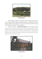 Turizmo ir rekreacijos perspektyva Pilaitės seniūnijoje 20 puslapis