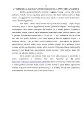 Turizmo paslauga 13 puslapis