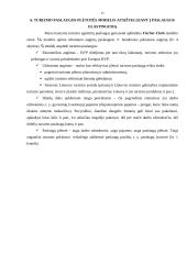 Turizmo paslauga 14 puslapis