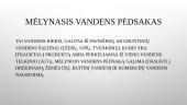 Vandens pėdsakas 8 puslapis