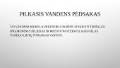 Vandens pėdsakas 10 puslapis